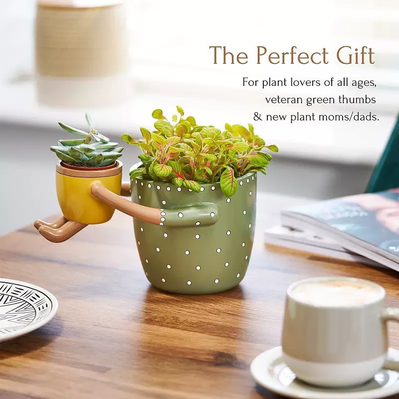 Resin Parent-child Flowerpot w - Plant Parent Pot recension och pris